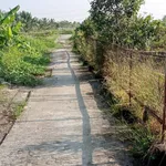 Bán nhà vườn 3.600 m² Kiến Thụy, Hải Phòng - Ảnh thu nhỏ 5
