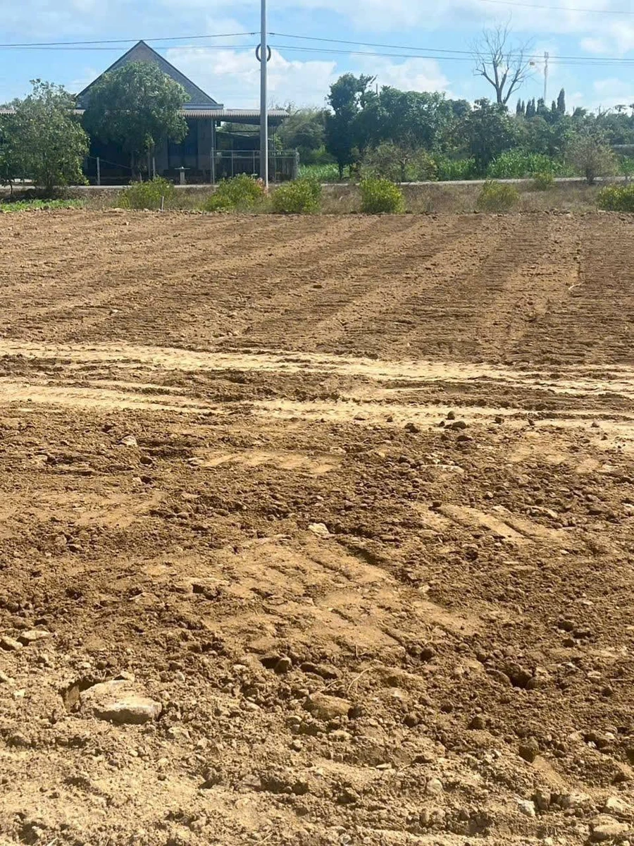 Bán đất Nhà Bè 742,6m² giá 2 tỷ 200 triệu - Ảnh 1