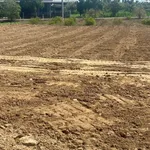 Bán đất Nhà Bè 742,6m² giá 2 tỷ 200 triệu - Ảnh thu nhỏ 1