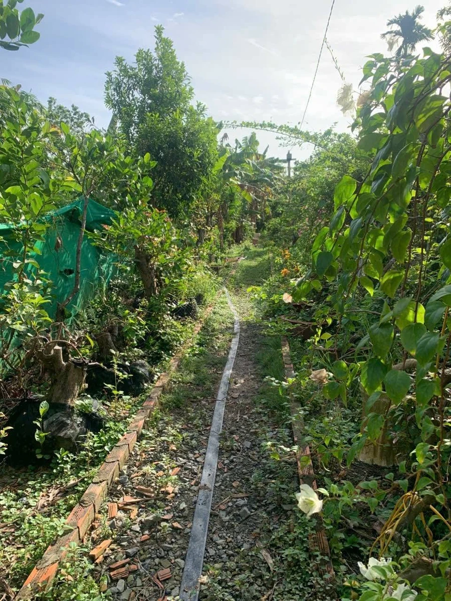 Bán khu nghỉ dưỡng 2.724m2 view sông cách Cái Chanh 1km, giá 2 tỷ 950 - Ảnh thu nhỏ 5