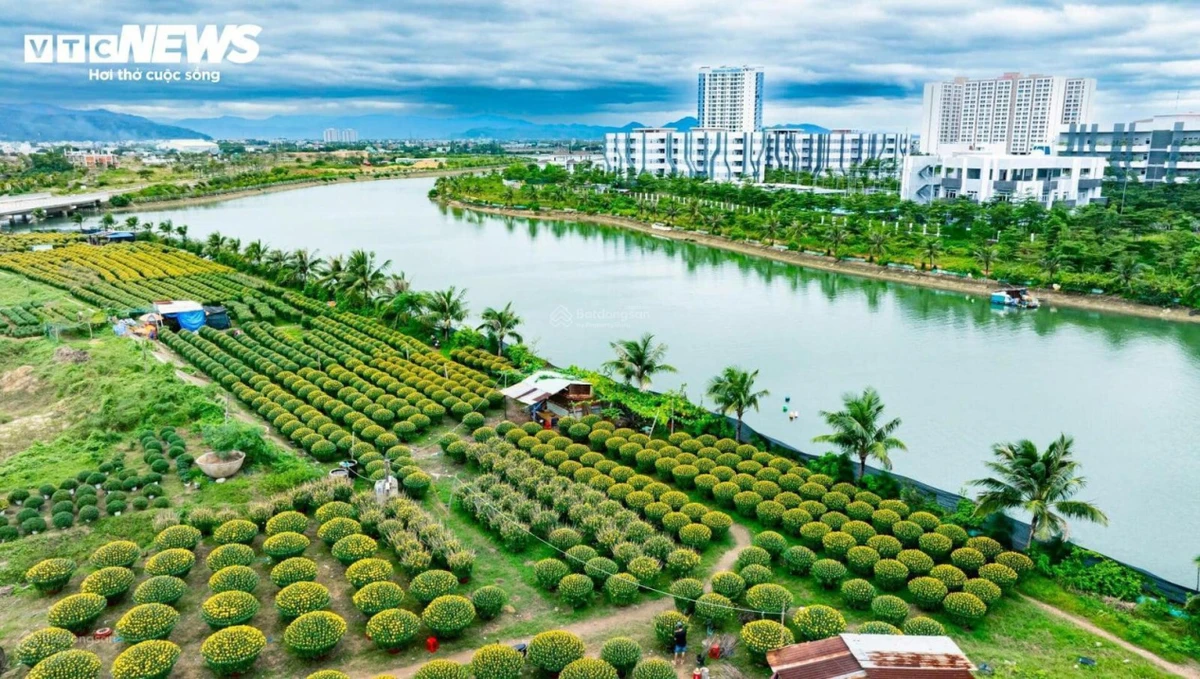 Giá tốt chỉ từ 380 triệu sở hữu ngay căn hộ sổ hồng 2PN, gần trung tâm hành chính mới của tỉnh - Ảnh thu nhỏ 3