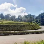 Bán đất 50m² Tổ 5 Nghĩa Phú Nhà Bè, giá 1 tỷ 200 triệu - Ảnh thu nhỏ 4