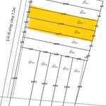 Bán đất thổ cư sổ hồng riêng 108m2 tại Mỹ Lộc, Cần Giuộc giá 1 tỷ 090 triệu - Ảnh thu nhỏ 4