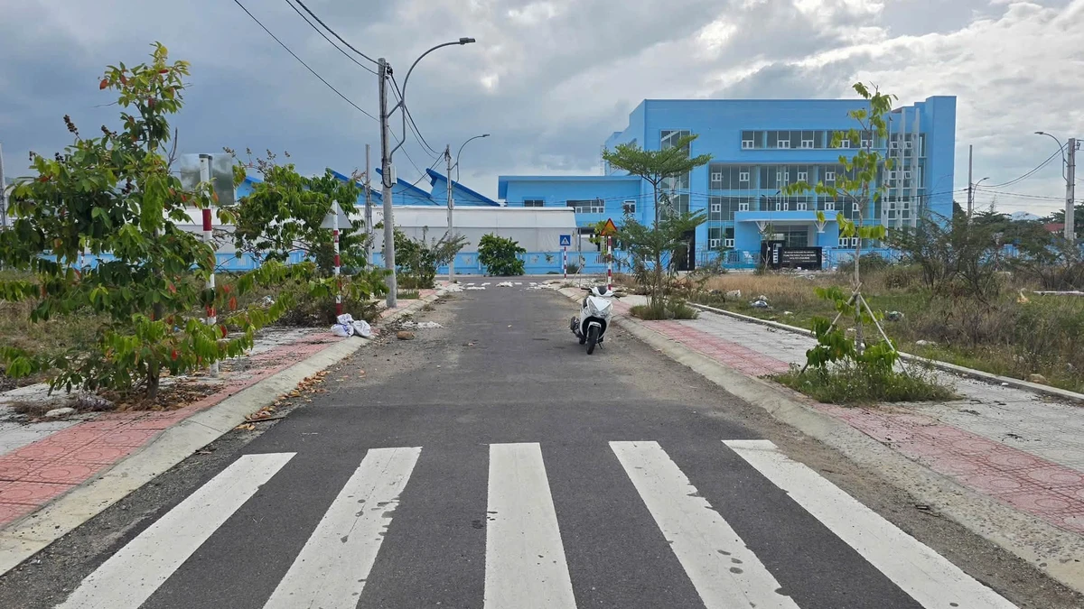 Bán đất TĐC Ngọc Hiệp Nha Trang 96.8m2 mặt tiền 10m - Ảnh thu nhỏ 3