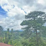 Bán đất 45m² view rừng thông Đà Lạt tặng nhà - Ảnh thu nhỏ 2