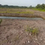 Bán đất nền gần 1 mẫu Phước Tân Hưng Long An - Ảnh thu nhỏ 3