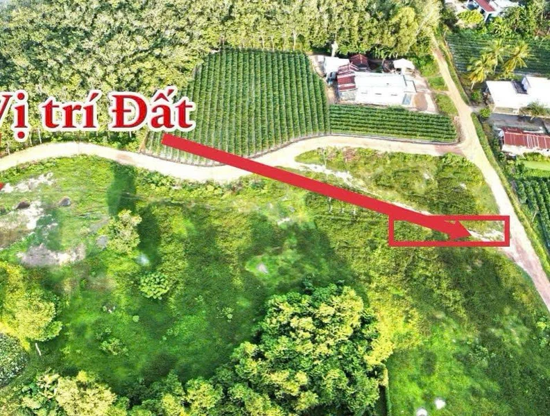 Bán đất 50m² giá 2,3 tỷ mặt tiền đường bê tông Tuy Đức 14mx50m