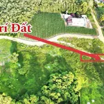 Bán đất Ninh Điền Châu Thành Tây Ninh 155m2, 139 triệu - Ảnh thu nhỏ 1