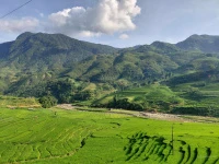 Bán đất tại Tả Van - Sapa, 3000 m2 có sẵn 1200 m2 thổ cư, mặt tiền 40m chỉ 16.5 tỷ - Ảnh thu nhỏ 5