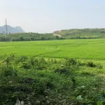 Bán đất 221,9m2 tại Lộc Môn, xã Liên Sơn, 1,2 tỷ, view đẹp chỉ với - Ảnh thu nhỏ 1