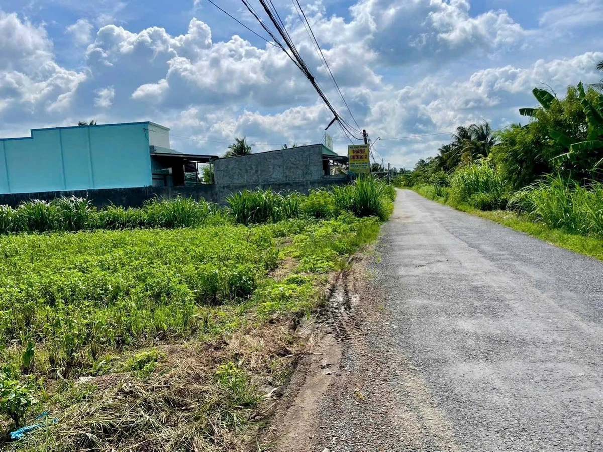 Bán nền đất mặt tiền 1.200m² Đồng Tháp - Ảnh 1