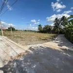 Bán đất thổ cư 5x25m giá 310 triệu gần chợ Thanh Phú Long, xã Thuận Mỹ, Tây Ninh - Ảnh thu nhỏ 2