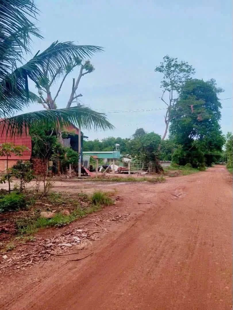 Bán lô đất dài 145m thổ cư 100m2 giá 1,95 tỷ tại An Điền, Phường Long Nguyên - Ảnh thu nhỏ 4