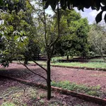 Bán 125m² đất ở Dầu Giây, Đồng Nai 775 triệu - Ảnh thu nhỏ 5