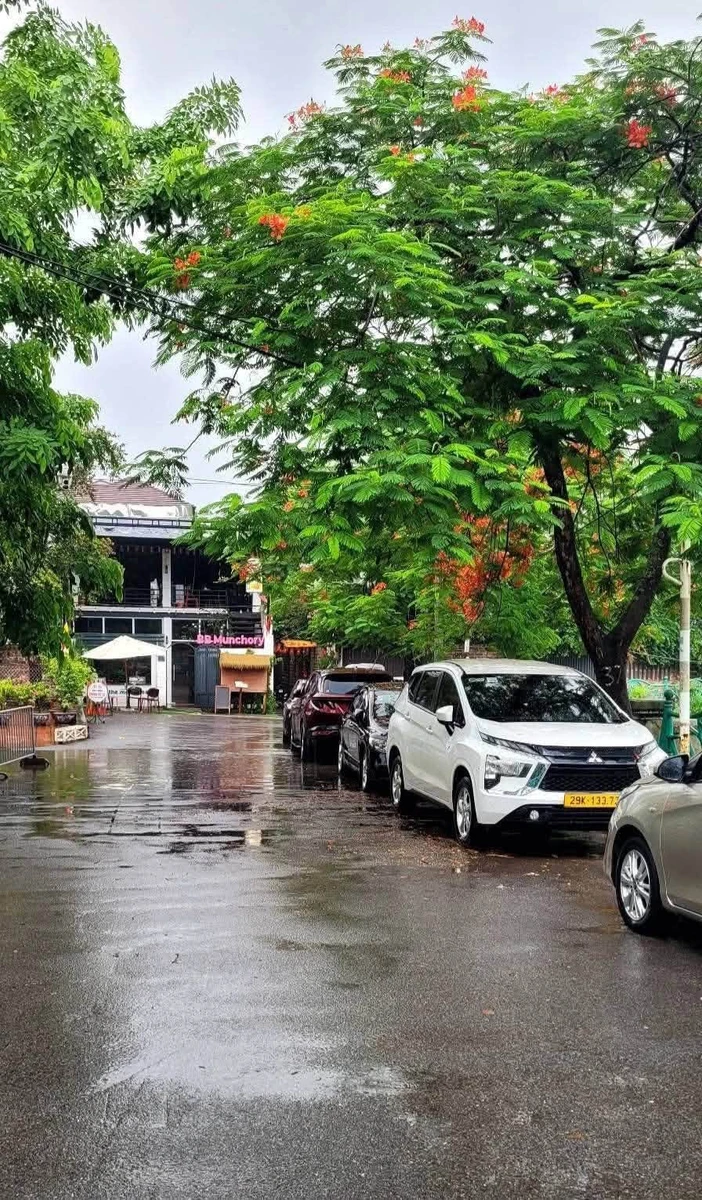 Bán biệt thự lô góc 260m² 4 tầng view Hồ Tây 210 tỷ - Ảnh thu nhỏ 3