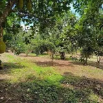 Bán đất 500m² đường Lê A Đồng Nai 8xx triệu - Ảnh thu nhỏ 1