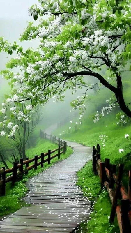 Bán 2 lô đất Long Điền 5x35m và 7,7x34m