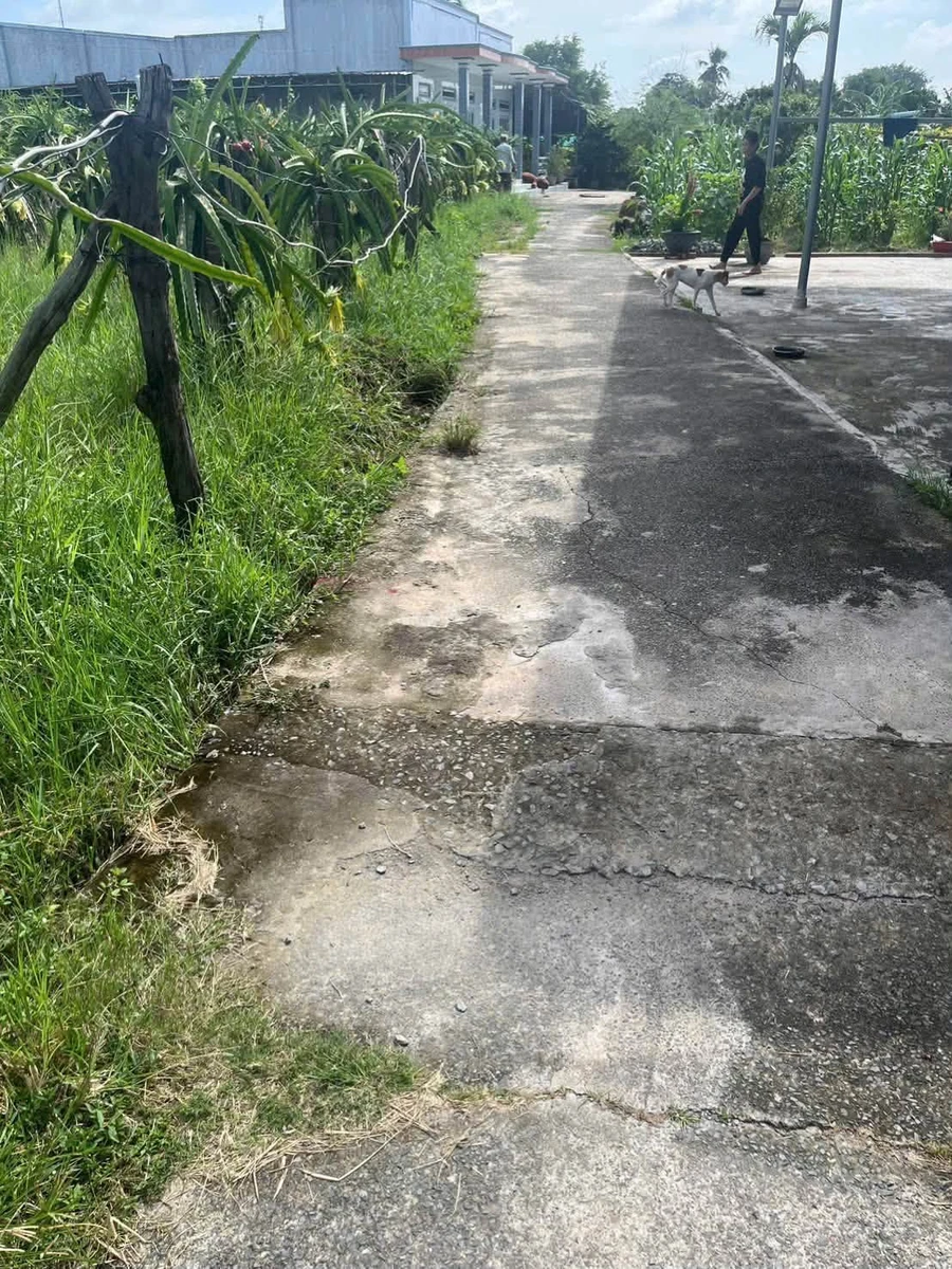 Bán đất thổ cư Hàm Cương 250m2, 395 triệu, Bình Thuận - Ảnh thu nhỏ 3