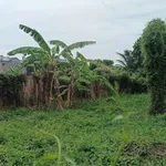 Bán đất vườn hẻm ôtô 215m² Bình Mỹ 1 tỷ 50 triệu - Ảnh thu nhỏ 5