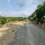 Bán đất Xã Thạnh Hòa Bến Lức Long An 920m² 1 tỷ 290 - Ảnh thu nhỏ 2