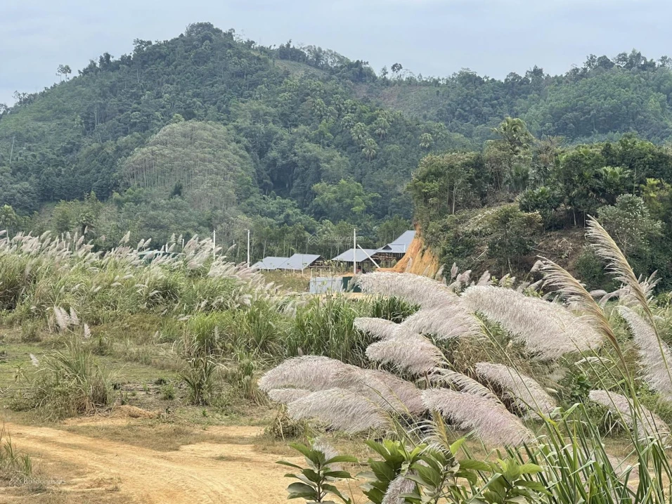Bán trang trại, khu nghỉ dưỡng tại P. Phùng Chí Kiên, Bắc Kạn, 9 tỷ, 11000 m2, giá siêu hời, uy tín - Ảnh thu nhỏ 4