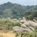 Bán trang trại, khu nghỉ dưỡng tại P. Phùng Chí Kiên, Bắc Kạn, 9 tỷ, 11000 m2, giá siêu hời, uy tín - Ảnh thu nhỏ 4