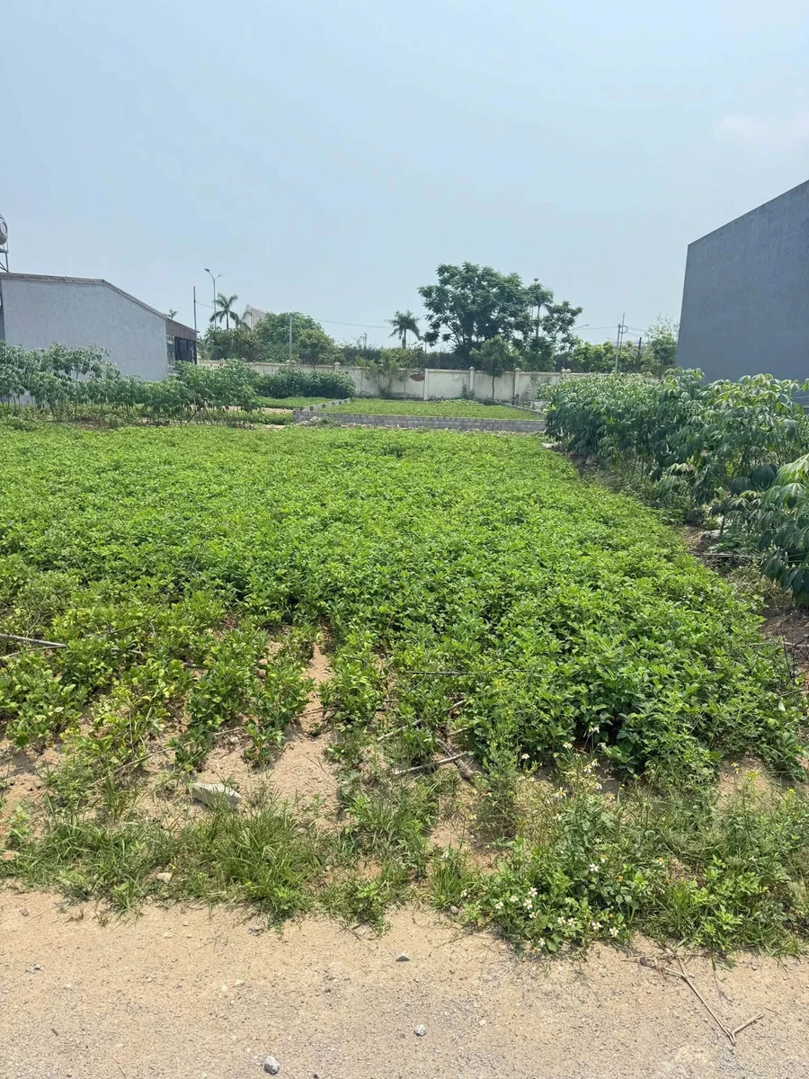 Bán đất 90 m² Nam Liên Nhà Bè, 2 tỷ - Ảnh thu nhỏ 4