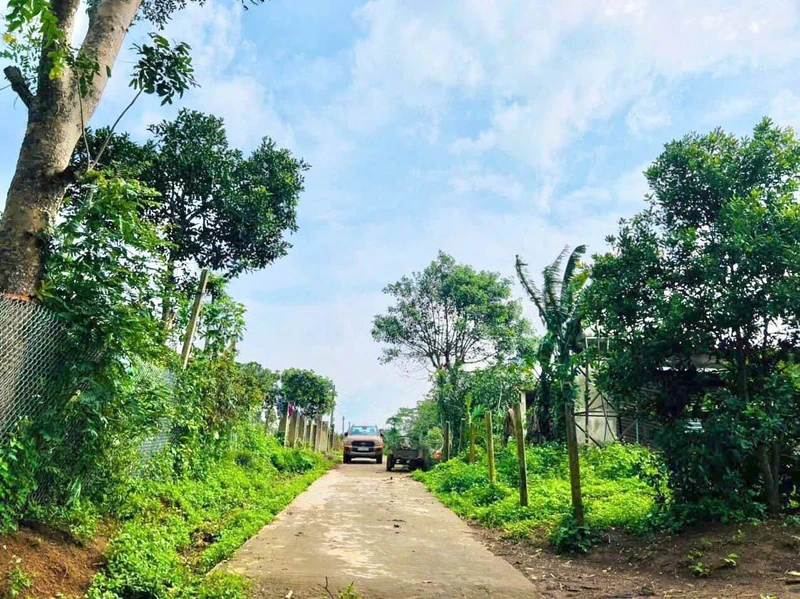 Đất view hồ Ea Nhái 4000m2 xã Cuôr Đăng