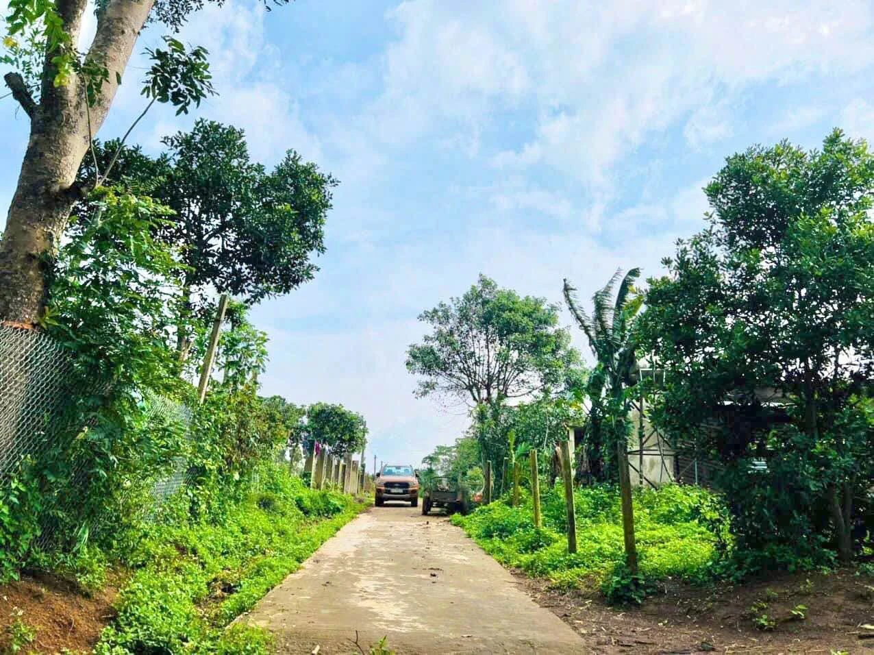 Đất view hồ Ea Nhái 4000m2 xã Cuôr Đăng - Ảnh 1