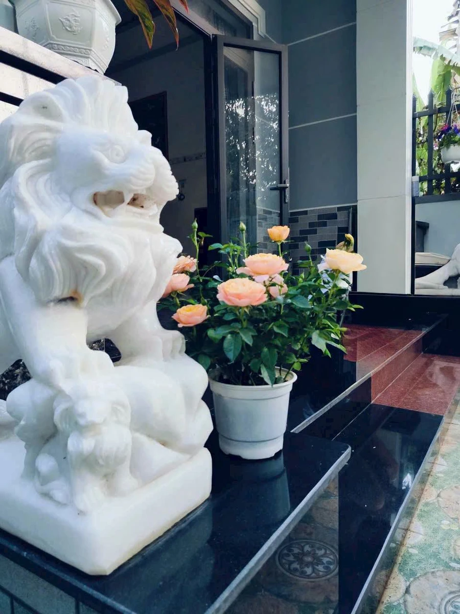 Bán nhà mái thái 8x23 (185m2) Hòa Long, Bà Rịa 2,85 tỷ - Ảnh thu nhỏ 2