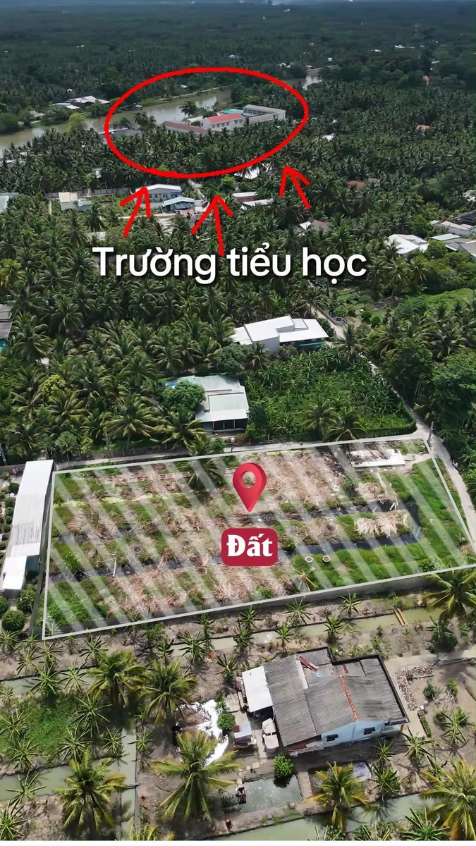 Bán 6 lô đất nền 165m² Long Hưng, Đồng Tháp, 350 triệu/lô - Ảnh thu nhỏ 2