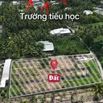 Bán 6 lô đất nền 165m² Long Hưng, Đồng Tháp, 350 triệu/lô - Ảnh thu nhỏ 2