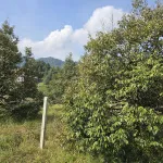 Bán đất giáp Suối Đá lớn - có sẵn thổ cư - mặt tiền nhựa lớn - khu dân cư - Ảnh thu nhỏ 32