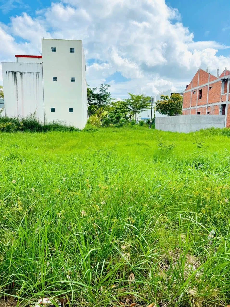 Bán nền 153m² Châu Văn Liêm Cà Mau 2.9 tỷ - Ảnh thu nhỏ 4