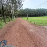 Bán đất Chòm Dừa Đồng Khởi Tây Ninh 475m² giá 225 triệu - Ảnh thu nhỏ 2