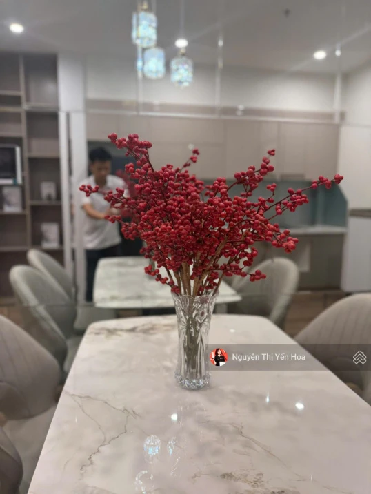 Cho thuê 1PN Beverly full nội thất luxury như ảnh 48.6m2 giá chỉ 7tr tại phân khu Be VHOP1