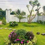 Bán nhà vườn tại Long An, 868m2 đất, 3,6 tỷ - Ảnh thu nhỏ 2