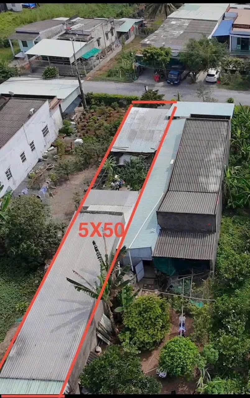 Bán đất 250m² Thọ Phú, Long An, 1 tỷ 550 - Ảnh 1