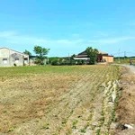240tr, Đất full thổ cư Truông Mít, Tây Ninh 5x33m sát nhựa thông - Ảnh thu nhỏ 9