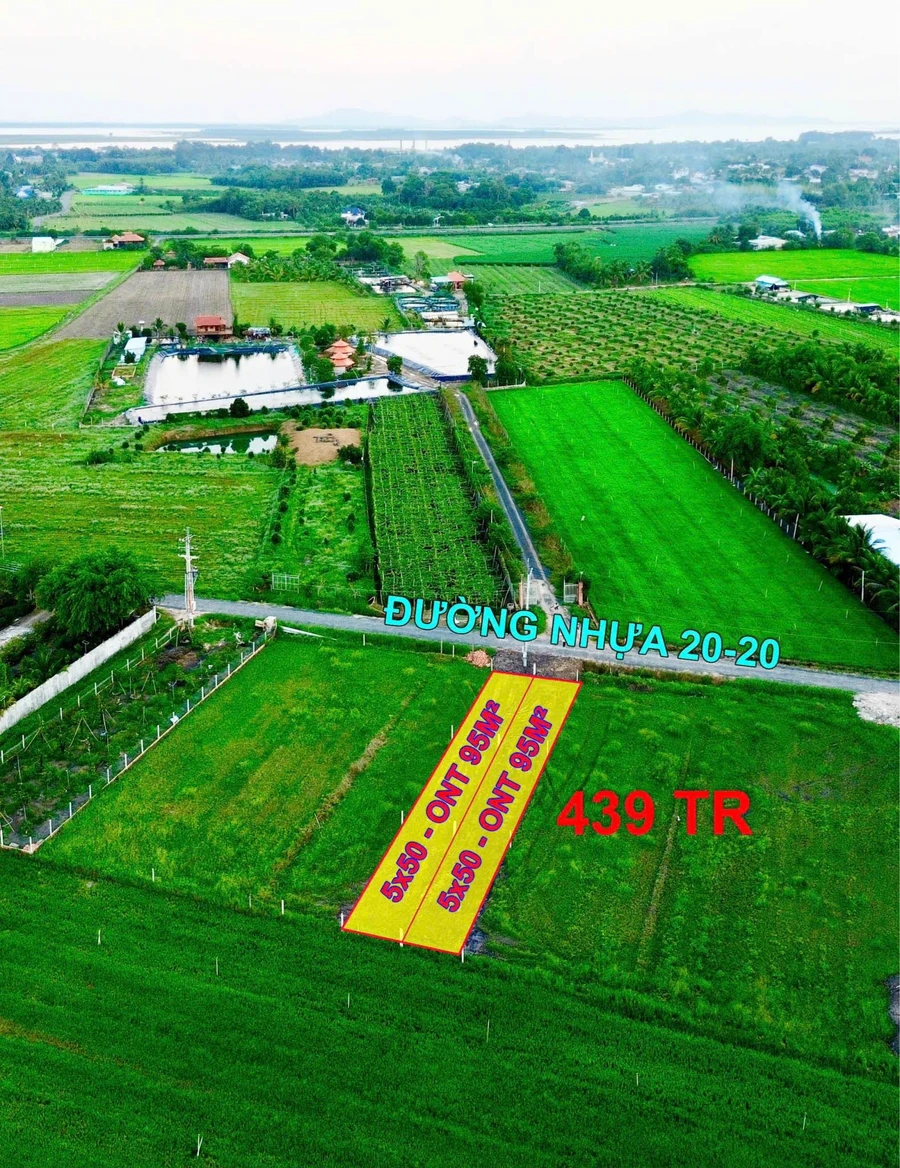 Bán đất 250m² mặt đường Dương Minh Châu, Tây Ninh - Ảnh 1