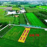 Bán đất 250m² mặt đường Dương Minh Châu, Tây Ninh - Ảnh thu nhỏ 1