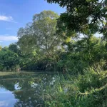 Bán đất vườn sinh thái 3.866m² Buôn Ma Thuột 8 tỷ - Ảnh thu nhỏ 3