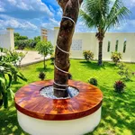Bán nhà có vườn, cây trái, 1.606m² ở Phan Thiết - Ảnh thu nhỏ 5