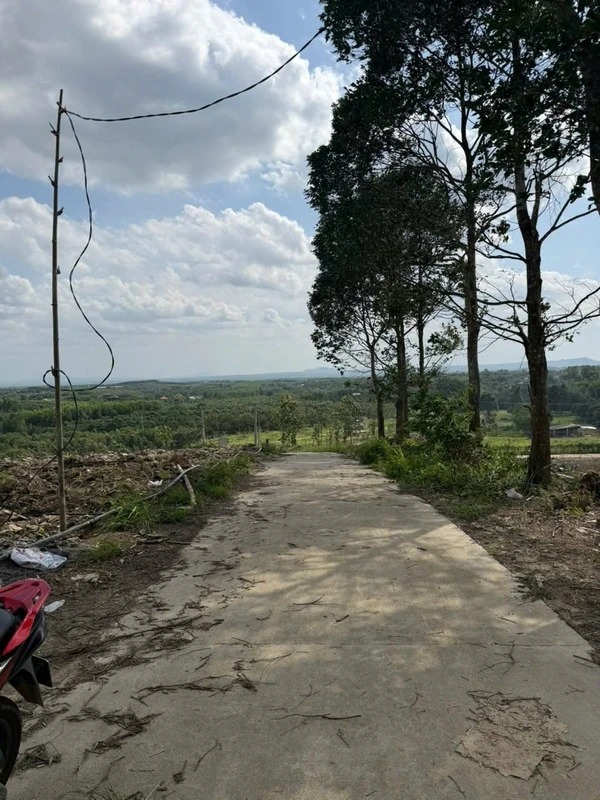 Bán 1000m² đất sào ở Định Quán, Đồng Nai, giá 700 triệu