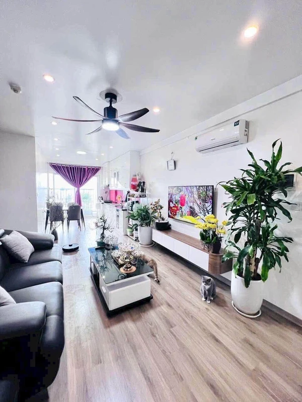 Bán nhà mặt tiền Phùng Hưng An Viễn, 110m² sp17