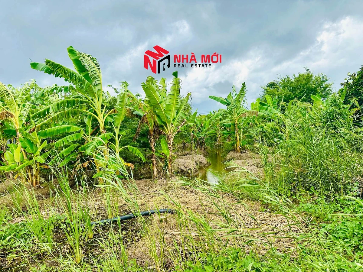 Bán nền mặt tiền Quốc lộ 1A Phú Hưng 1.400m² 2 tỷ - Ảnh thu nhỏ 2