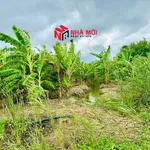 Bán nền mặt tiền Quốc lộ 1A Phú Hưng 1.400m² 2 tỷ - Ảnh thu nhỏ 2