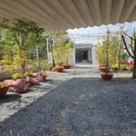 Bán đất mặt tiền đường 3/2 10x100 1000m2 (300m2 thổ cư) gần trường cấp 2 Hậu Nghĩa - Ảnh thu nhỏ 3
