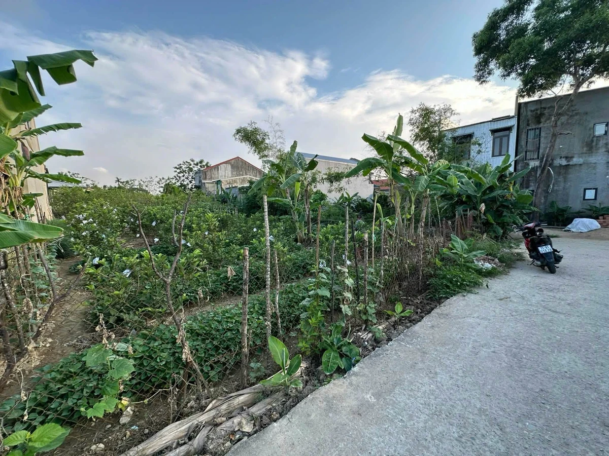 Bán lô đất Chiết Bi Mỹ Thượng 111m2, 1,65 tỷ - Ảnh thu nhỏ 3