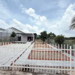 Bán nhà vườn 500m2 tại Long Mỹ, xã Phước Hải, giá 2,15 tỷ - Ảnh thu nhỏ 1